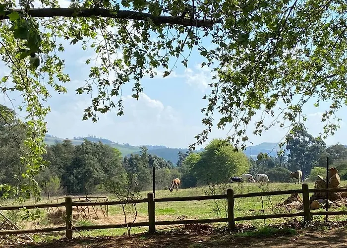Yellowwoods Farm - Willoughbys Cottage And Old Stables Cottage