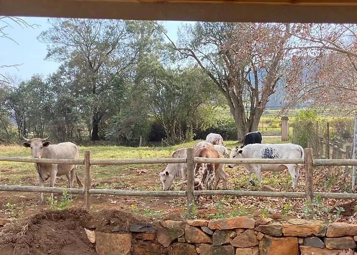 Yellowwoods Farm - Willoughbys Cottage And Old Stables Cottage