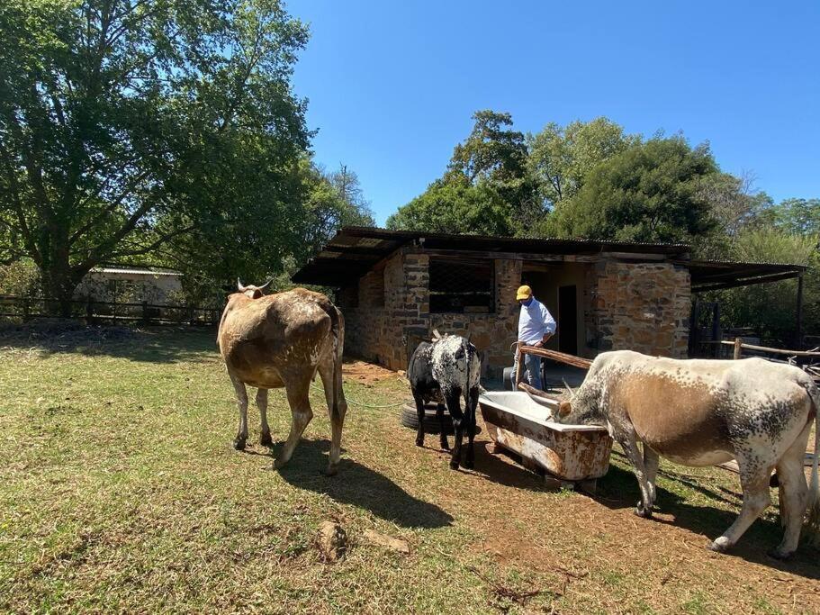 Yellowwoods Farm - Willoughbys And Old Stables * Curry's Post