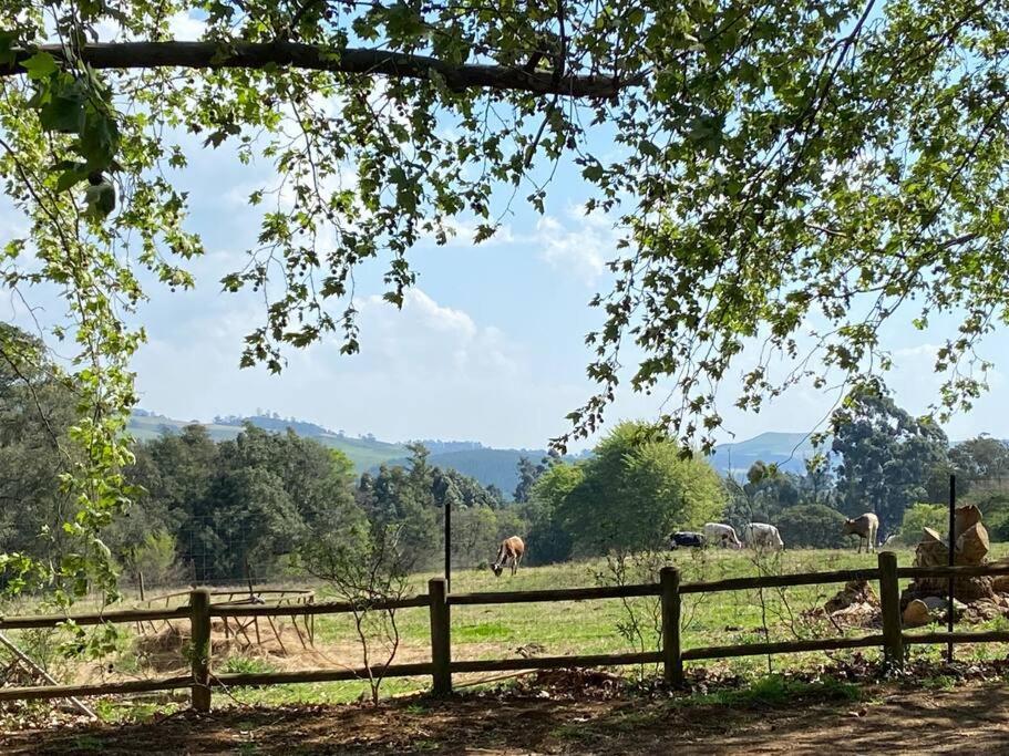 Holiday home Yellowwoods Farm - Willoughbys And Old Stables *
