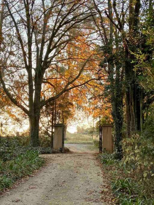 Yellowwoods Farm - Willoughbys And Old Stables