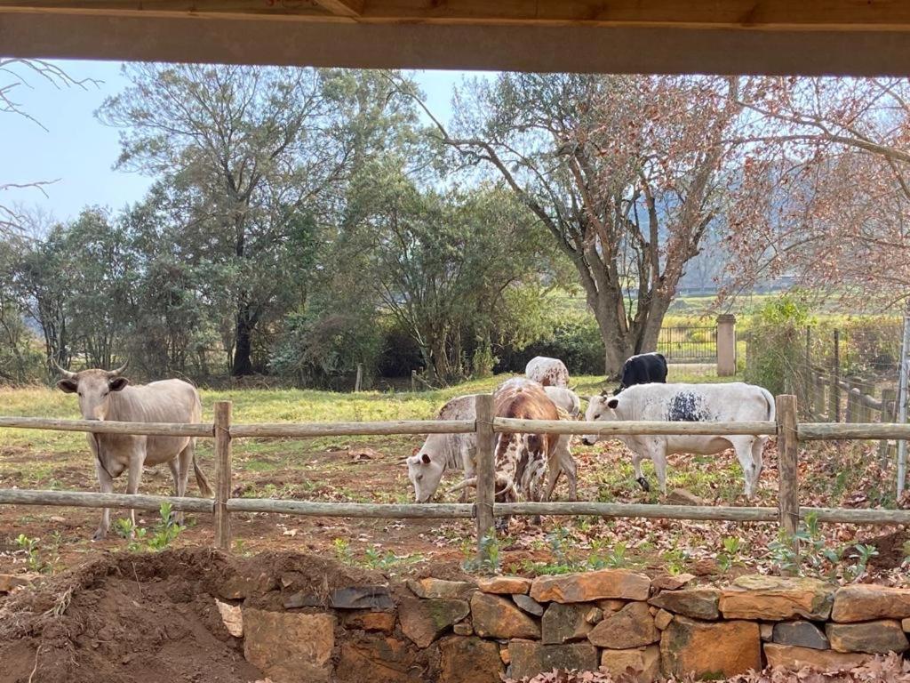 Holiday home Yellowwoods Farm - Willoughbys And Old Stables *